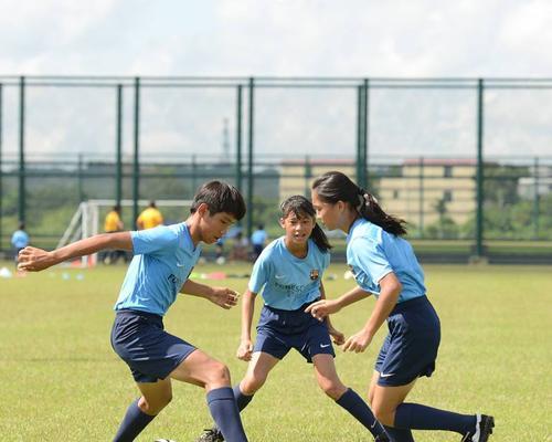 提高足球小学生技能——全面训练篇（提高足球小学生技能——全面训练篇）