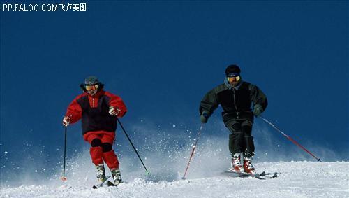 高台滑雪技巧全解（从入门到精通，让你滑得飞快）