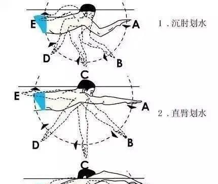 自由泳换气技巧解析（女生必知的深呼吸方法）