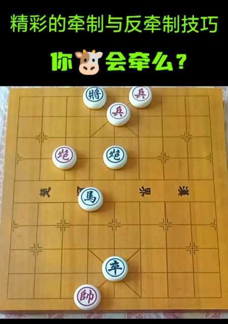 象棋弃马十三杀技巧（攻城略地轻取胜利）