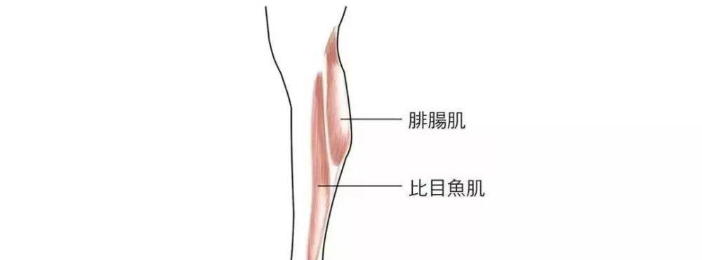 如何利用乒乓球胯部发力技巧提高球技（掌握胯部发力技巧）