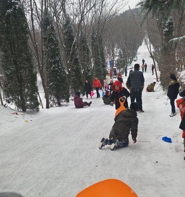 如何提高花样滑雪技巧（分享花样滑雪的技巧和技术）