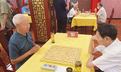 象棋技巧大全（以象棋技术提高棋艺水平）