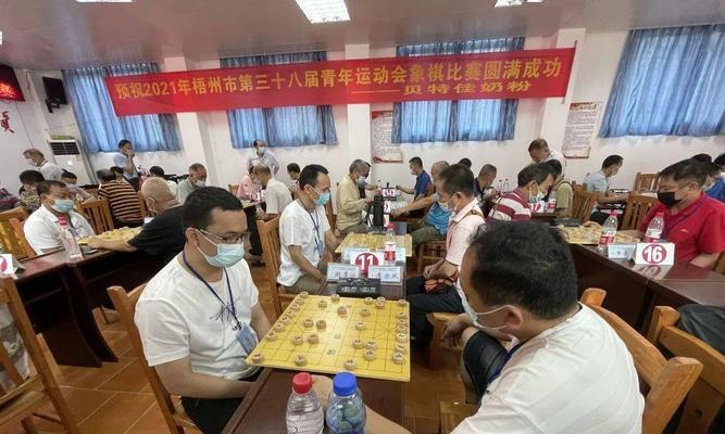 象棋老雷翻盘全攻略（15个段落教你如何逆袭胜利）