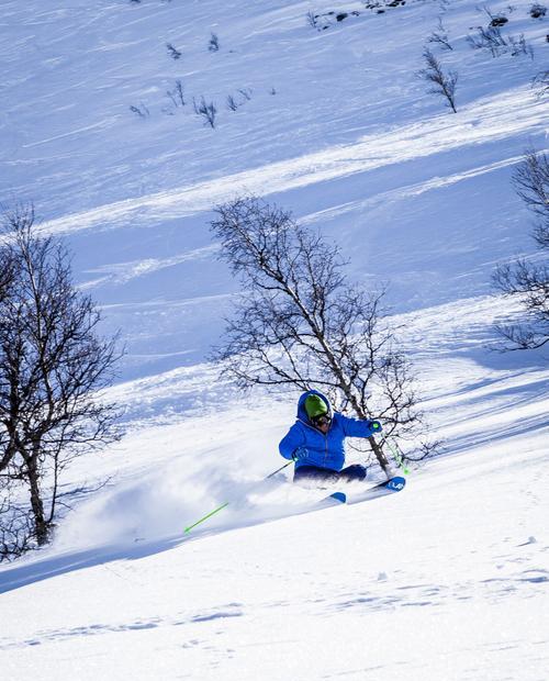 滑雪板技巧（掌握正确姿势）