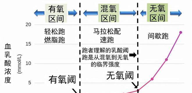 揭秘贴吧大神的配速技巧（如何在赛道上一路领先）