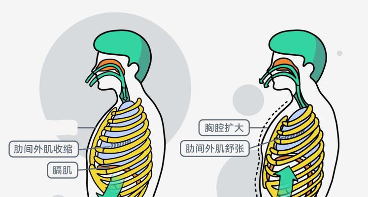 快跑步呼吸正确方法技巧（如何呼吸才能更快地跑步）